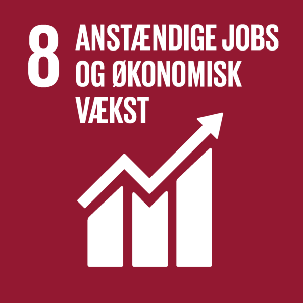 SDG verdensmål 8