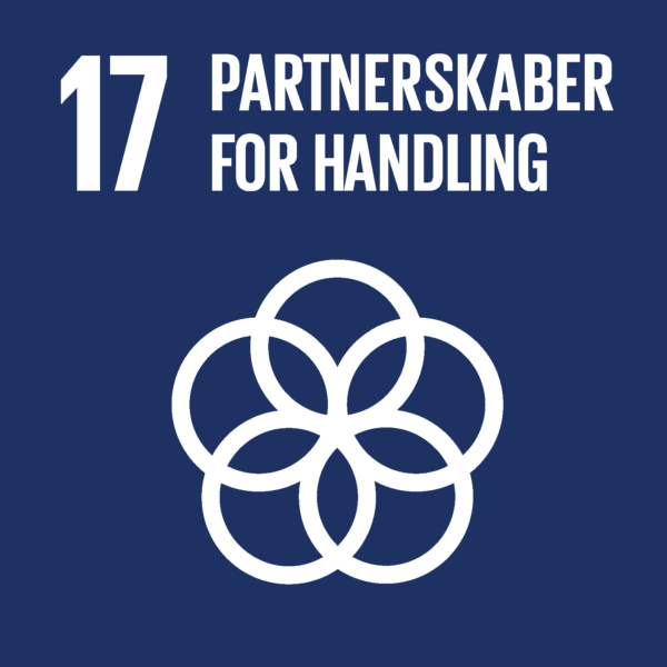 SDG verdensmål 17